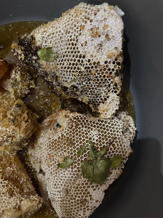 Wild Sidr (Jangli Beri) Honey, naturally produced by the small honeybee in wild, untouched environments.