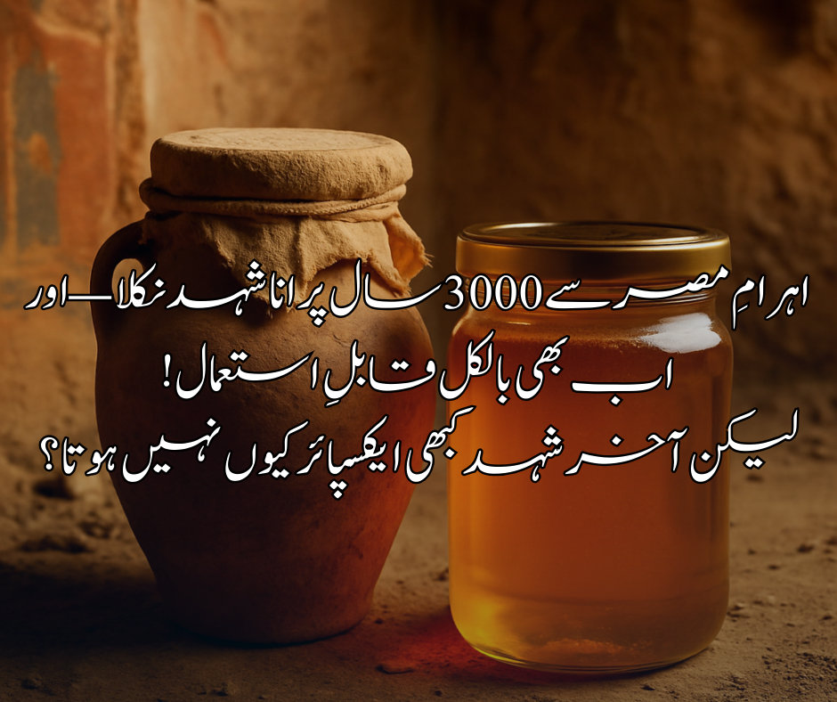 🍯 اہرامِ مصر سے 3000 سال پرانا شہد نکلا — اور اب بھی بالکل قابلِ استعمال! لیکن آخر شہد کبھی ایکسپائر کیوں نہیں ہوتا؟