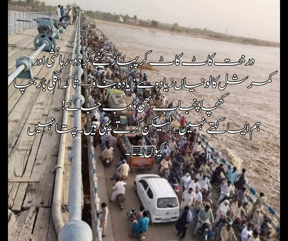 🌊 درخت کاٹ کاٹ کر پہاڑ گنجے کر دو، رہائشی اور کمرشل کالونیاں زیادہ سے زیادہ بناو — تاکہ اگلی بار بچا کھچا پنجاب بھی ڈوب جائے!