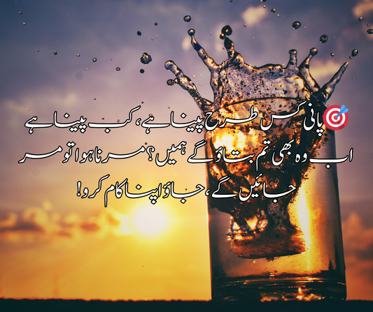 🎯 پانی کس طرح پینا ہے، کب پینا ہے اب وہ بھی تم بتاؤ گے ہمیں؟ مرنا ہوا تو مر جائیں گے، جاؤ اپنا کام کرو!
