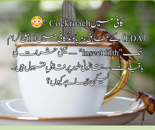 کافی میں Cockroach ؟ 😳  (FDA) کے مطابق، ہر پاؤنڈ کافی میں 10 ملی گرام تک "insect filth" — یعنی حشرات کی باقیات — قانونی طور پر قابلِ قبول ہیں۔ لیکن ایسا ہے کیوں ؟