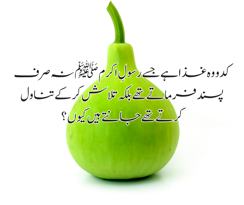 کدو وہ غذا ہے جسے رسولِ اکرم ﷺ نہ صرف پسند فرماتے تھے بلکہ تلاش کر کے تناول کرتے تھے جانتے ہیں کیوں ؟