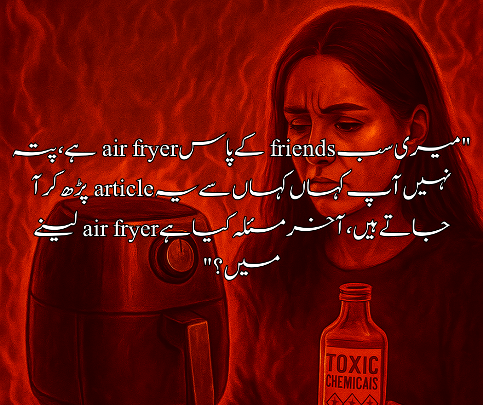 "میری سب friends کے پاس air fryer ہے، پتہ نہیں آپ کہاں کہاں سے یہ article پڑھ کر آ جاتے ہیں، آخر مسئلہ کیا ہے air fryer لینے میں؟"