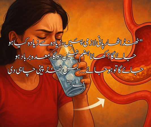 "ٹھنڈا ٹھار پانی لازمی پئیں، زیادہ سے زیادہ کیا ہو جائے گا؟ کھانا ہضم نہیں ہو گا، معدہ برباد ہو جائے گا تو ہو جائے... بس ٹھنڈ پینی چاہی دی اے!"